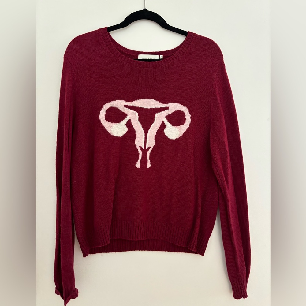 Rachel Antonoff Reproductive System Sweater - wool cashmere in Large